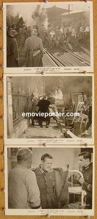 u130 TIME TO LOVE & A TIME TO DIE 6 8x10 movie stills '58 Remarque