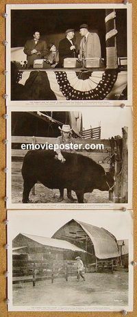 u877 TOMBOY & THE CHAMP 3 8x10 movie stills '61 Candy Moore, western!