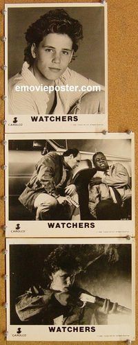 t982 WATCHERS 8 8x10 movie stills '88 Roger Corman, Dean Koontz