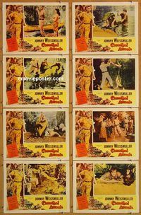 a966 CANNIBAL ATTACK 8 movie lobby cards '54 Johnny Weissmuller