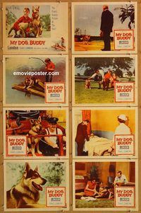b103 MY DOG BUDDY 8 movie lobby cards '60 boy-and-his-dog adventure!