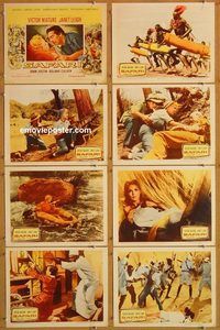b147 SAFARI 8 movie lobby cards '56 Victor Mature, Janet Leigh