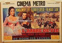 d186 RAINTREE COUNTY Belgian movie poster '57 Monty Clift, Liz Taylor