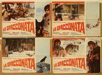 d312 WHITE FANG & THE GOLD DIGGERS 4 Italian photobusta movie posters '75