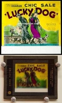 g251 LUCKY DOG movie glass lantern slide '33 Charles 'Chic' Sale