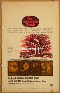 h105 BRAMBLE BUSH window card movie poster '60 Angie Dickinson, Richard Burton