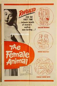 n346 FEMALE ANIMAL one-sheet movie poster c60s first time revealed!