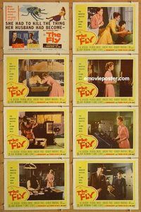 s255 FLY 8 movie lobby cards '58 Vincent Price, classic sci-fi!