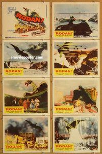 s607 RODAN 8 movie lobby cards '56 Ishiro Honda, Toho, sci-fi