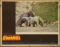 s739 VALLEY OF GWANGI movie lobby card #2 '69 Harryhausen, dinosaurs!