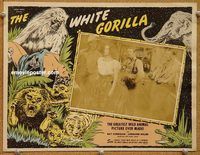 s781 WHITE GORILLA movie lobby card R40s Corrigan, Miller