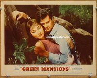v497 GREEN MANSIONS movie lobby card #3 '59 Audrey Hepburn, Perkins