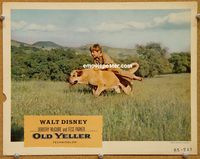 v742 OLD YELLER movie lobby card '57 Disney children's classic!