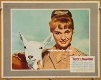 v960 TAMMY & THE MILLIONAIRE movie lobby card #7 '67 Debbie Watson