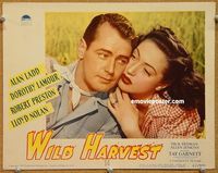 w066 WILD HARVEST movie lobby card #7 '47 Alan Ladd, Dorothy Lamour