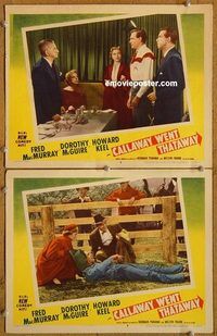 a248 CALLAWAY WENT THATAWAY 2 movie lobby cards '51 Fred MacMurray