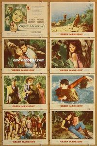 a091 GREEN MANSIONS 8 movie lobby cards '59 Audrey Hepburn, Perkins