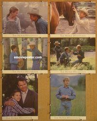 a672 HORSE WHISPERER 6 movie lobby cards '98 Robert Redford equines!