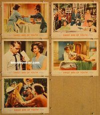 a639 SWEET BIRD OF YOUTH 5 movie lobby cards '62 Paul Newman, Page