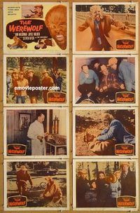 a192 WEREWOLF 8 movie lobby cards '56 great wolf-man horror image!