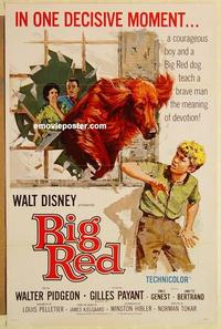 c347 BIG RED one-sheet movie poster '62 Walt Disney, Pigeon, Irish Setter!