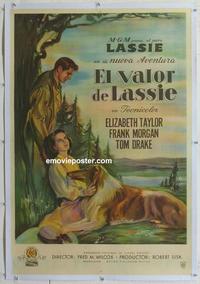 d237 COURAGE OF LASSIE linen Argentinean movie poster '46 Taylor