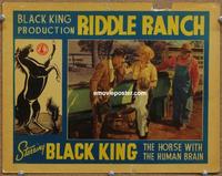 h286 RIDDLE RANCH LC'35 Black King,horse w/human brain!