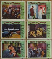 h551 CULT OF THE COBRA 6 movie lobby cards '55 Faith Domergue