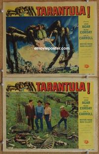 h644 TARANTULA 2 movie lobby cards '55 great spider artwork scene!