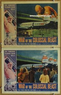 h646 WAR OF THE COLOSSAL BEAST 2 movie lobby cards '58 TWA airplanes!