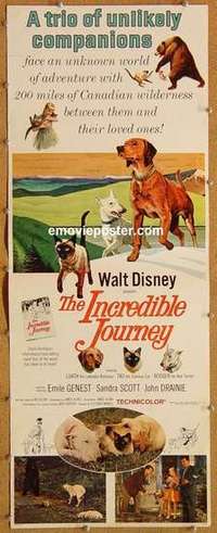 b315 INCREDIBLE JOURNEY insert movie poster '63 Walt Disney animals!