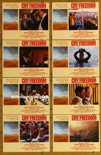 c213 CRY FREEDOM 8 English movie lobby cards '87 Kevin Kline, Washington