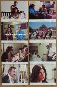 c052 ALEX & THE GYPSY 8 movie lobby cards '76 Lemmon, Bujold
