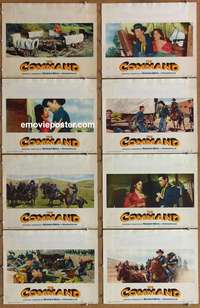 c202 COMMAND 8 movie lobby cards '54 Guy Madison, CinemaScope!