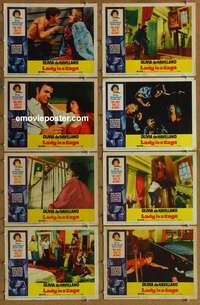 c469 LADY IN A CAGE 8 movie lobby cards '64 Olivia de Havilland, Caan