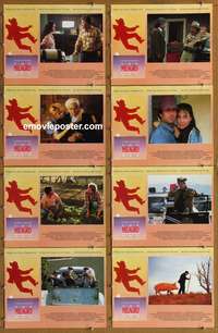 c542 MILAGRO BEANFIELD WAR 8 movie lobby cards '88 Robert Redford
