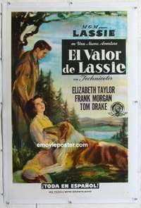 f336 COURAGE OF LASSIE linen Spanish/US one-sheet movie poster '46 Liz Taylor