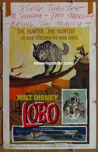 g510 LEGEND OF LOBO window card movie poster '62 Walt Disney, wolf image!