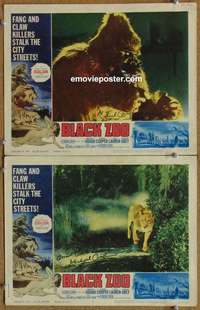 h045 BLACK ZOO 2 signed movie lobby cards '63 Michael Gough, horror!