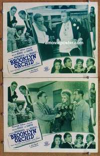 h062 BROOKLYN ORCHID 2 movie lobby cards R40s William Bendix