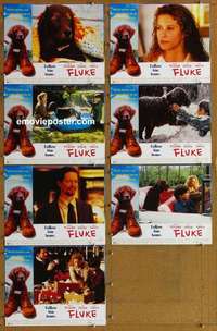 j083 FLUKE 7 English movie lobby cards '95 Matt Modine, Eric Stoltz