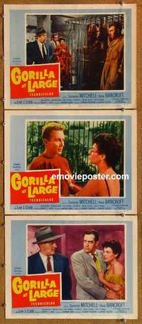 h449 GORILLA AT LARGE 3 movie lobby cards '54 big ape runs with girl!