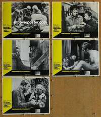 h818 MIDNIGHT COWBOY 5 int'l lobby cards '69 Dustin Hoffman, Jon Voight
