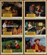 h961 OLD YELLER 6 movie lobby cards '57 classic Disney canine!
