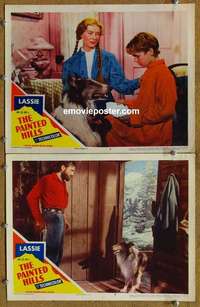 h238 PAINTED HILLS 2 movie lobby cards '51 Lassie, Paul Kelly
