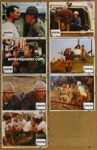 j196 STRIPES 7 movie lobby cards '81 Bill Murray, Harold Ramis, Reitman