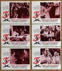 j009 TIGER & THE PUSSYCAT 6 movie lobby cards '67 Ann-Margret, Gassman