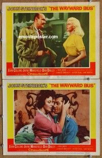 h368 WAYWARD BUS 2 movie lobby cards '57 Jayne Mansfield, Steinbeck