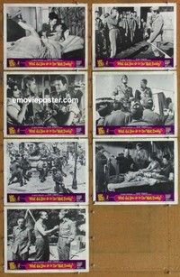 j219 WHAT DID YOU DO IN THE WAR DADDY 7 movie lobby cards '66 Coburn