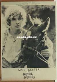 m500 BLACK BEAUTY Japanese movie poster '71 Mark Lester, horses!